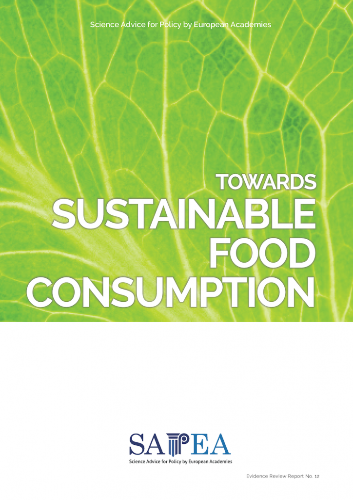 Cover of sustainable food consumption report